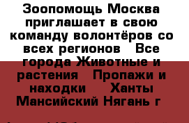 Зоопомощь.Москва приглашает в свою команду волонтёров со всех регионов - Все города Животные и растения » Пропажи и находки   . Ханты-Мансийский,Нягань г.